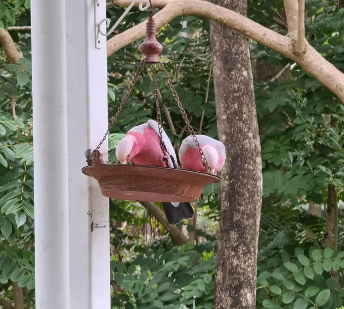 Buderim Treetops Villa 0*,  Australia