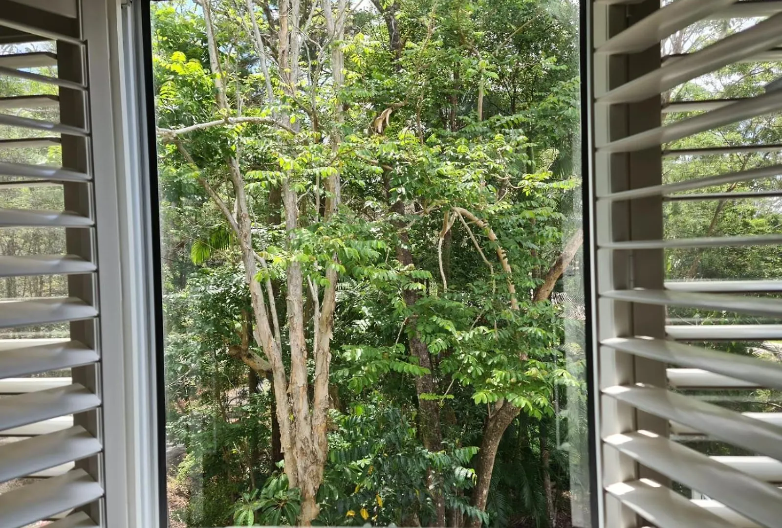 Holiday home Buderim Treetops Villa
